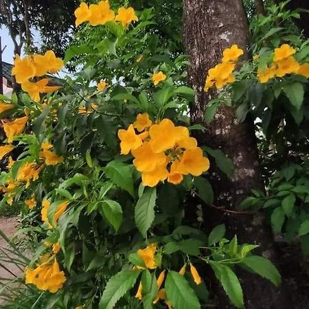 Montra Guesthouse Ranong Exterior photo